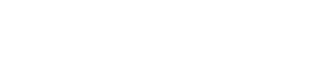 IT Capital